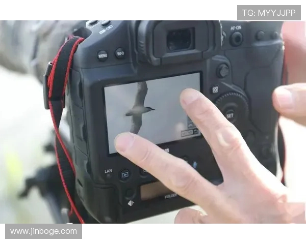 凯发旗舰厅地址下载安装免费体验最新游戏内容，享受极致娱乐体验