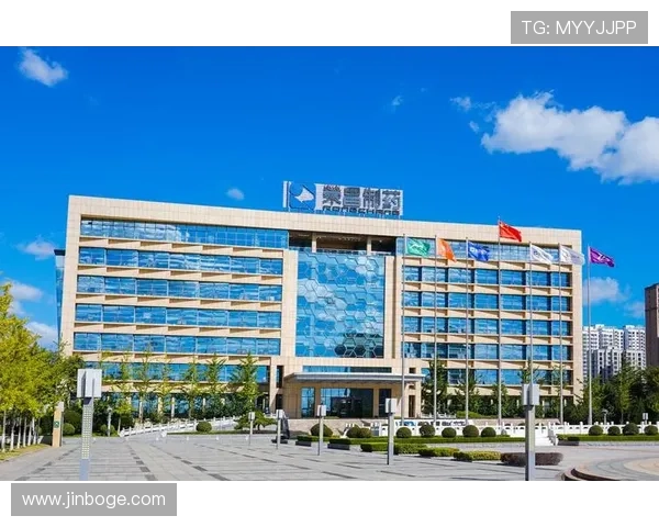 凯发集团官网登录平台全面升级，提供多渠道下载官方APP保障用户安全畅玩